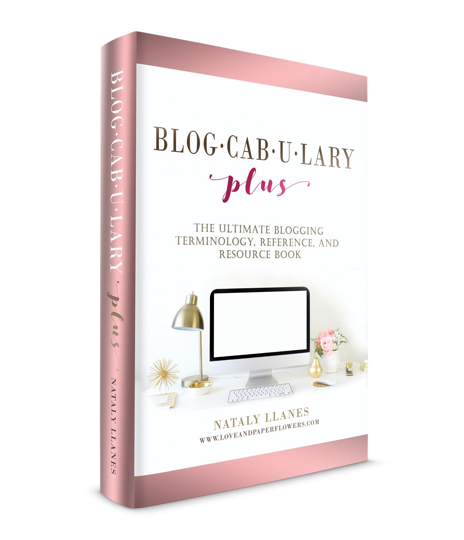 Blogcabulary Plus ebook